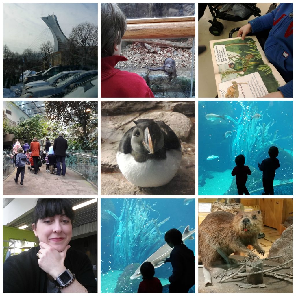 Biodome collage