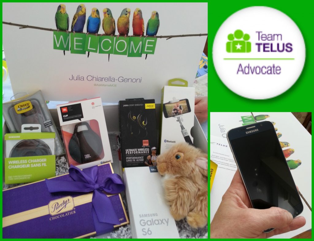 TeamTELUS Collage